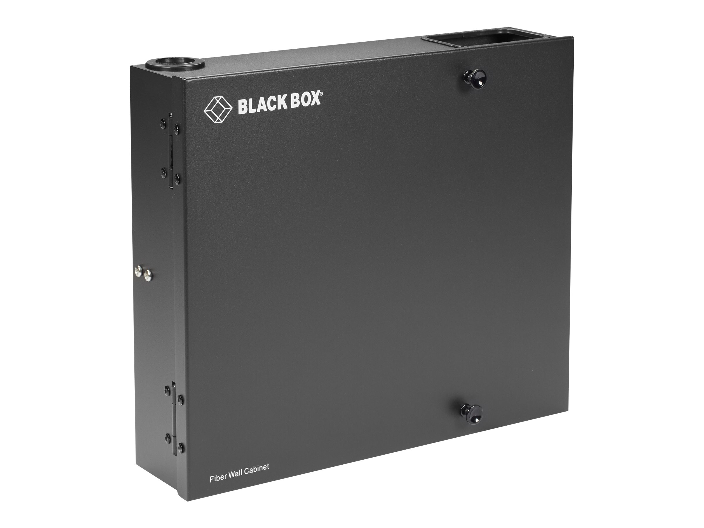 Black Box Fiber Wall Cabinet