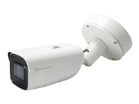 LevelOne GEMINI series FCS-5212 Netværksovervågningskamera Udendørs Indendørs 3072 x 2048