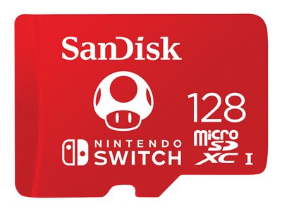 SanDisk - Flash memory card