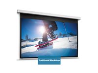 Da-Lite DescenderPro projection screen - 175.98" (447 cm)