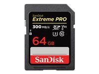 Sandisk Carte mmoire Extreme CompactFlash  SDSDXDK-064G-GN4IN