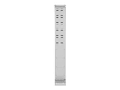 Panduit FlexCore - Cable manager (vertical)