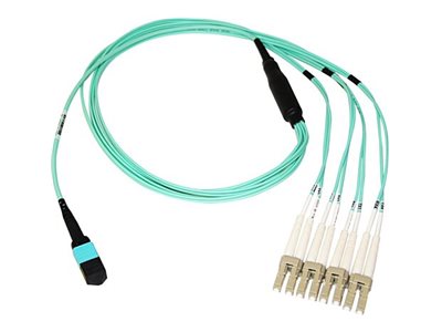 Axiom - Breakout cable