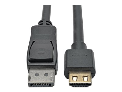 Eaton Tripp Lite Series DisplayPort 1.4 to HDMI Active Adapter Cable (M/M), 4K 60 Hz, 4:4:4, HDR, HDCP 2.2, 20 ft. (6.1 m)