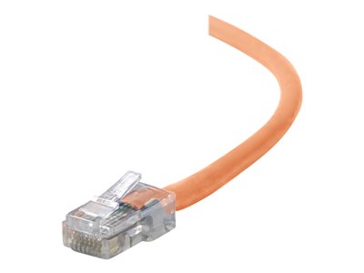 Belkin - Patch cable