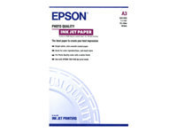Epson Papier grand Format C13S041068