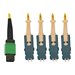 Tripp Lite 40/100/400G Singlemode 9/125 OS2 Breakout Fiber Optic Cable (12F MTP/MPO-APC to 4x Duplex SN-UPC F/M), LSZH, Yellow, 2 m (6.6 ft.)