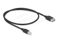 Delock USB-kabel 50cm Sort