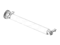 Zebra - Rouleau de platine de 300 ppp - pour Zebra ZD621d