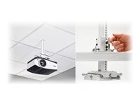 Chief Universal Suspended Ceiling Projector System - White mounting kit - for projector - white