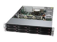 Supermicro UP Storage SuperServer 520P-ACTR12L