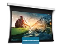 Da-Lite Tensioned DescenderPro projection screen - 162.6" (413 cm)