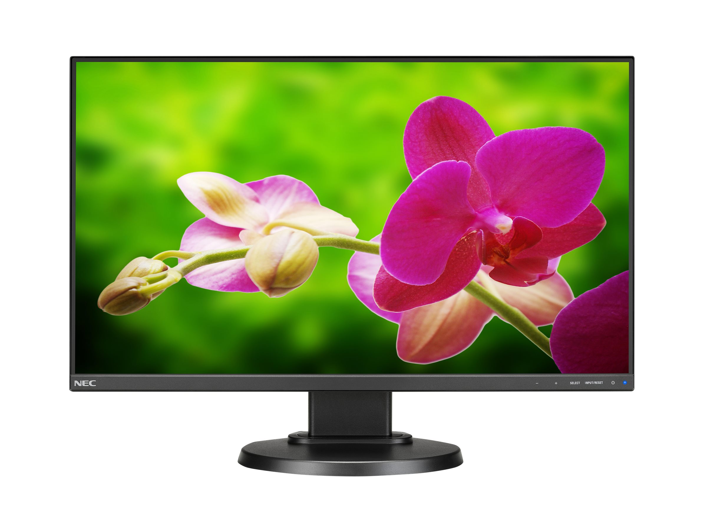 NEC MultiSync E242N-BK | Overview, Specs, Details | SHI Government