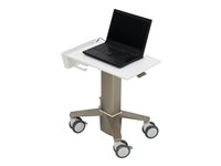 Ergotron Produits Ergotron C50-1100-0