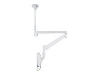 NEOMOUNTS FPMA-HAC100 Ceiling Mount