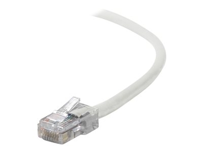 Belkin - Patch cable