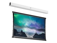 Da-Lite Tensioned DescenderPro projection screen - 158.27" (402 cm)