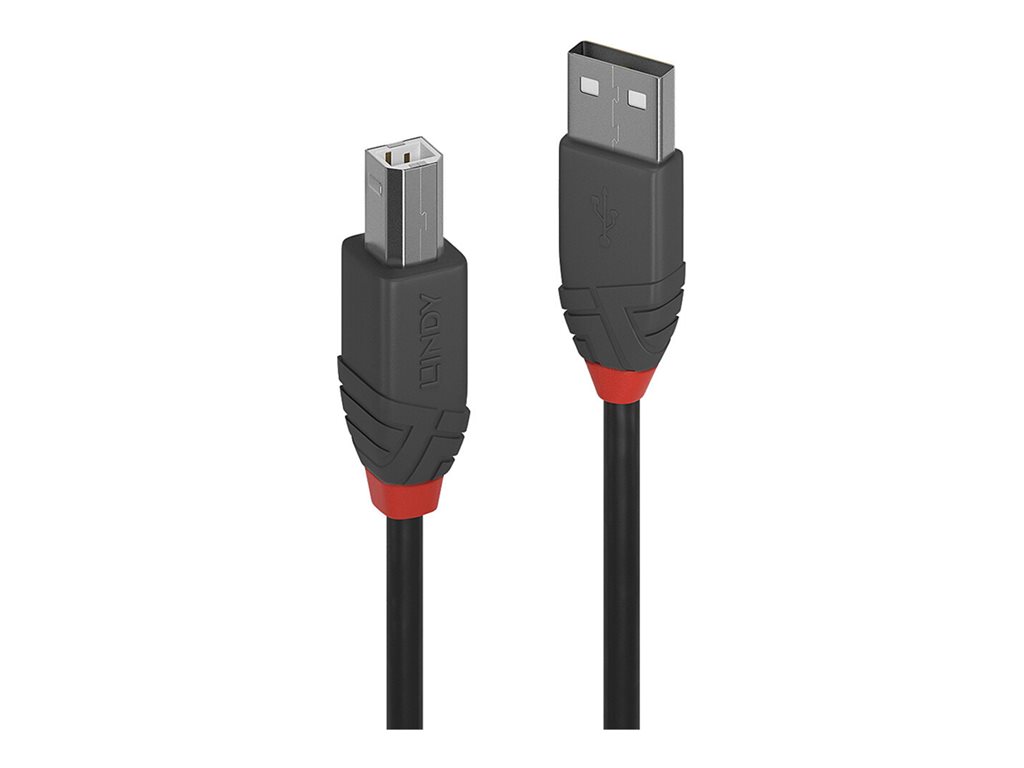 C ble USB 2.0 Type A vers B, Anthra Line, 0.2m