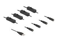 DeLOCK 4 pin USB Type A (male) - Strøm DC jackstik 5,5 mm (ID: 2,1 mm) (female) Sort 1m Strøm-splitter