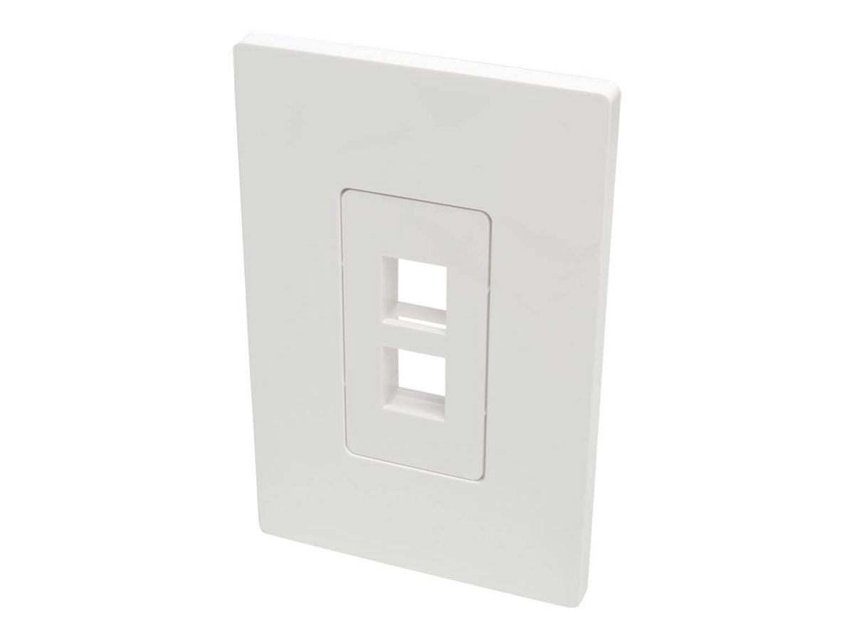 Tripp Lite Single-Gang 2-Port Wall Plate Keystone Cat5/Cat6 USB HDMI Dport RCA
