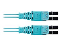 Panduit Opti-Core Push-Pull