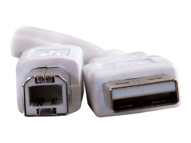 C2G 3.3ft USB to USB B Cable - USB A to USB B - USB 2.0 - White - M/M - kabel USB - USB do USB typ B - 1 m – foto 3