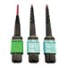 Tripp Lite 400G MTP/MPO Multimode OM4 Plenum-Rated Fiber Cable, 16F MTP/MPO-APC to (x2) 12F MTP/MPO-UPC, Magenta, 1M