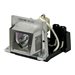 eReplacements Premium Power RLC-018-ER Compatible Bulb - projector lamp