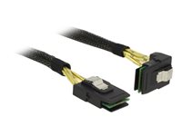 DeLOCK Serial Attached SCSI (SAS) internt kabel Sort 50cm