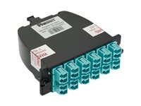 Panduit FQWO-12-10AS 12-Fiber QuickNet SFQ MPO-LC Cassette, OM5, Method A
