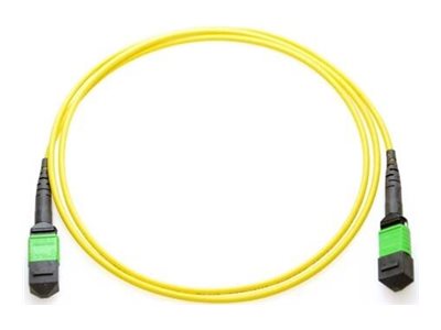 Axiom - Network cable