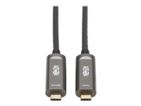 Tripp Lite USB-C AOC Cable (M/M) - USB 3.2 Gen 2 (10 Gbps) Plenum-Rated Fiber Active Optical Cable - Data Only, Backward Compatible, Black, 15 m