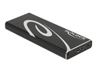 DeLOCK Ekstern Lagringspakning USB 3.2 (Gen 2) M.2 Card