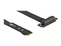 DeLOCK M.2 Key M to PCIe x4 NVMe Interfaceadapter