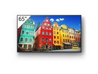 Sony Moniteurs 65'' FW-65BZ30J