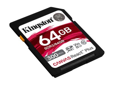 KINGSTON SDR2/64GB, Speicher Flash-Speicher, KINGSTON  (BILD2)