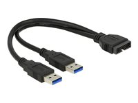 DeLOCK USB 3.0 USB intern til ekstern kabel 25cm Sort