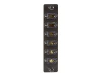 Black Box HD Adapter Panel patch panel adapter