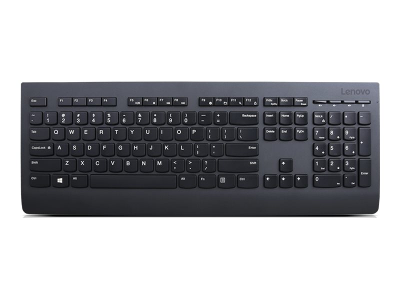 Lenovo Professional - klávesnice - česká/slovenská - černá Vstupní zařízení