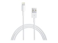 4XEM Lightning cable - Lightning / USB - 6 ft