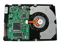 Dell Harddisk 1TB 3.5' SATA-150 7200rpm