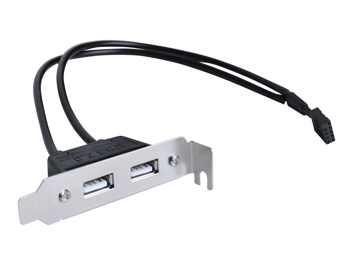 SIIG 2-Port USB 2.0 Low Profile Extension Bracket