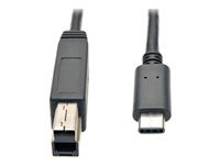 Tripp Lite 3ft USB 3.1 Gen 2 USB-C to USB-B Cable 10 Gbps M/M Fast Charging - USB cable - USB Type B (M) to 24 pin USB-C (M) - USB 3.1 Gen 2 - 3 A - 3 ft - molded - black