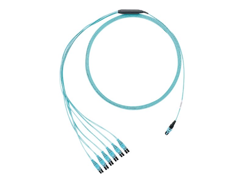 Panduit PanMPO and MPO Round Harness Cable Assemblies - network cable - 6.4 m - aqua