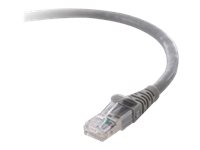 Belkin 10G - Patch cable
