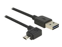 DeLOCK USB 2.0 USB-kabel 3m Sort