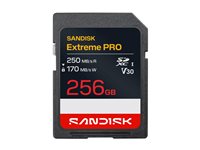 SanDisk Extreme PRO - flash memory card - 256 GB - SDXC UHS-I