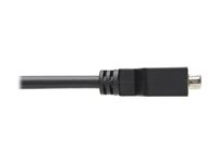 EATON TRIPPLITE DisplayPort to DVI-I