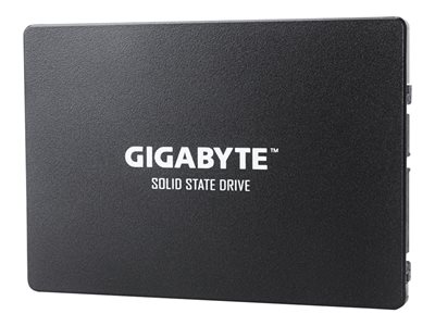 GIGABYTE 256GB 6,35cm SSD SATA3 - GP-GSTFS31256GTND