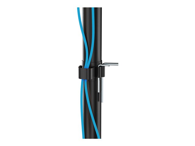 Neomounts FPMA-D550DDV